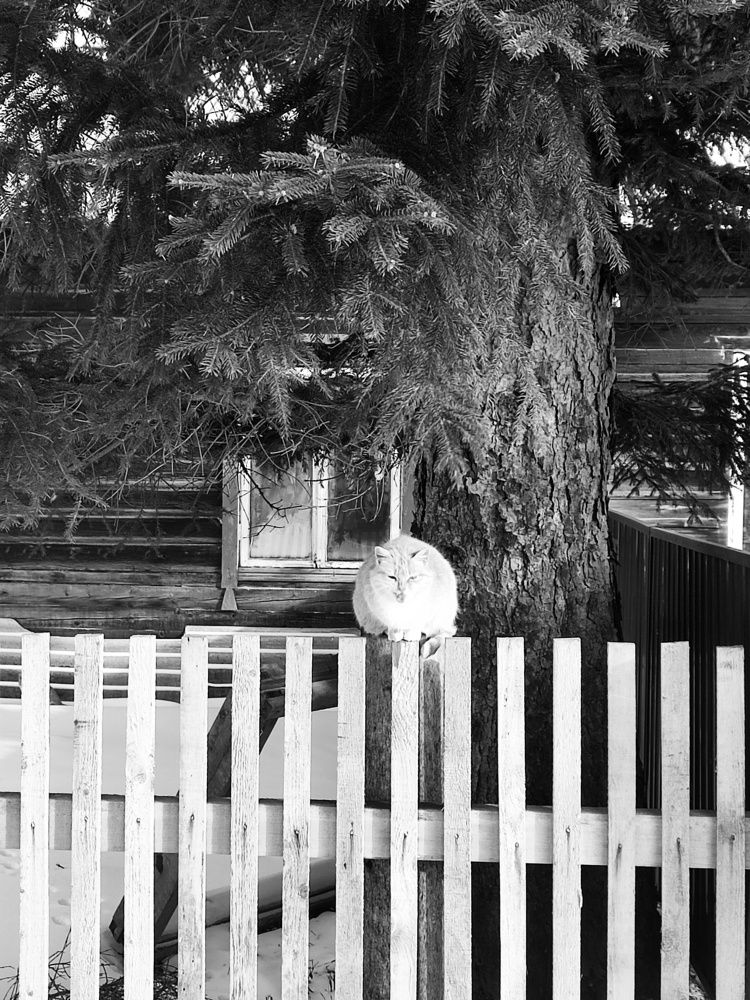 Photograph by Козлова Ольга