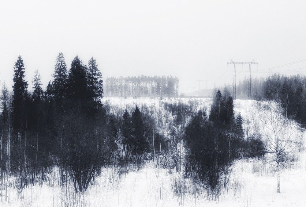 Photograph by Iuliia Akhulkova