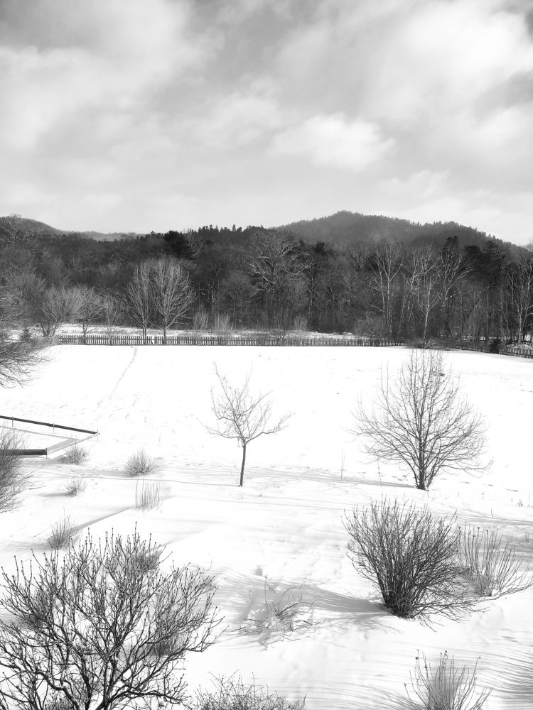 Photograph by Козлова Ольга