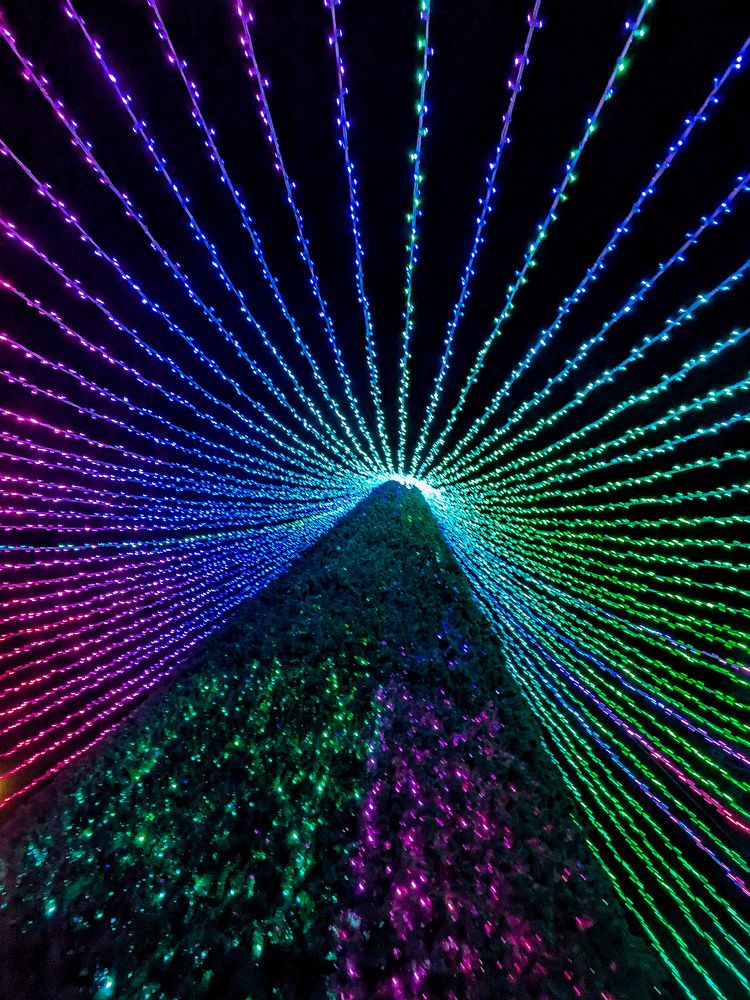 Photograph by Александр Шевченко