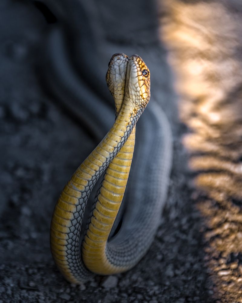 Photograph by Сергей Лексин