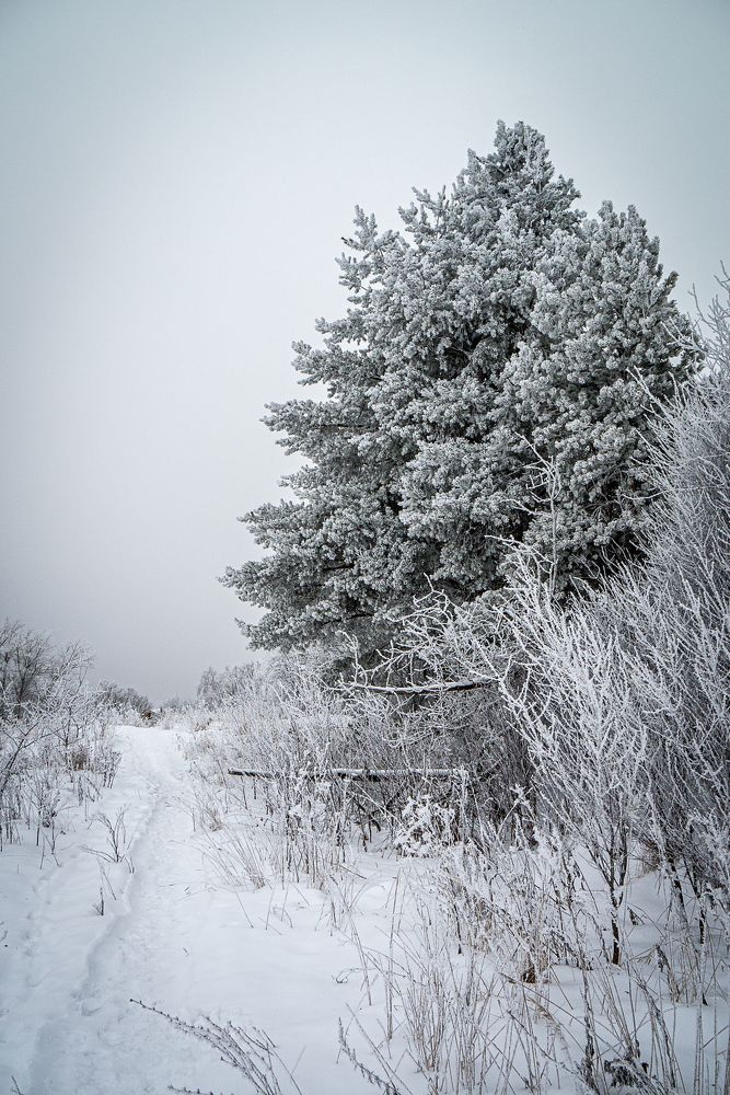 Photograph by Максим Торохов