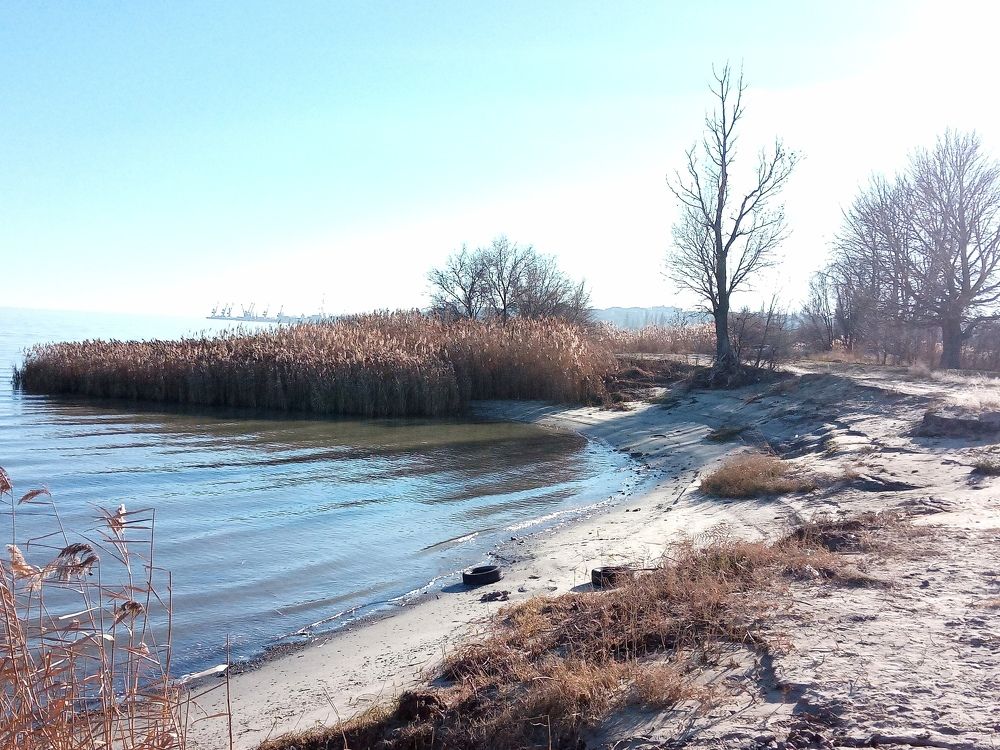Photo #11590640