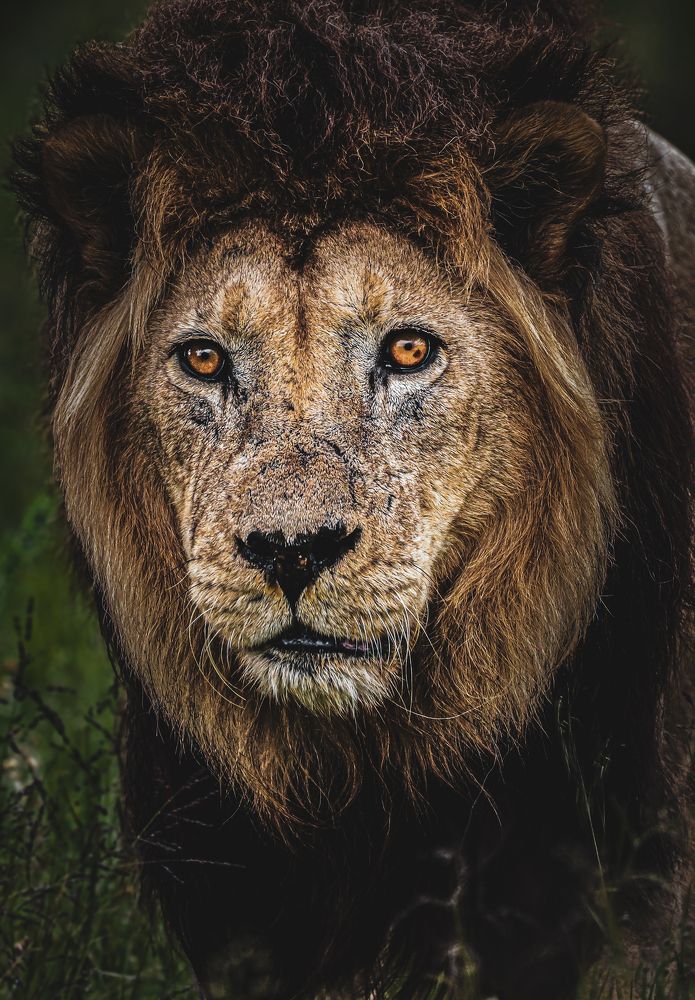 Photograph by Nadine Leonard