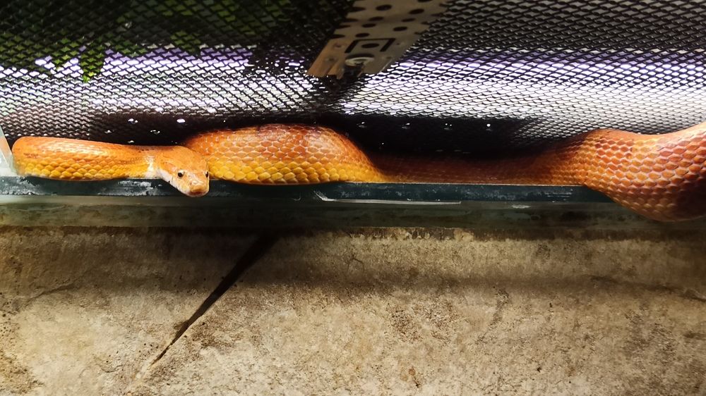 Photograph by Валерия Сопова