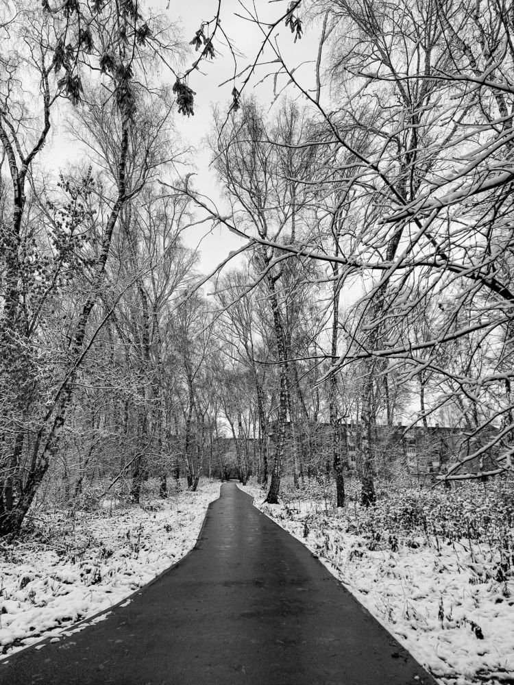 Photograph by Дарья Овсянникова