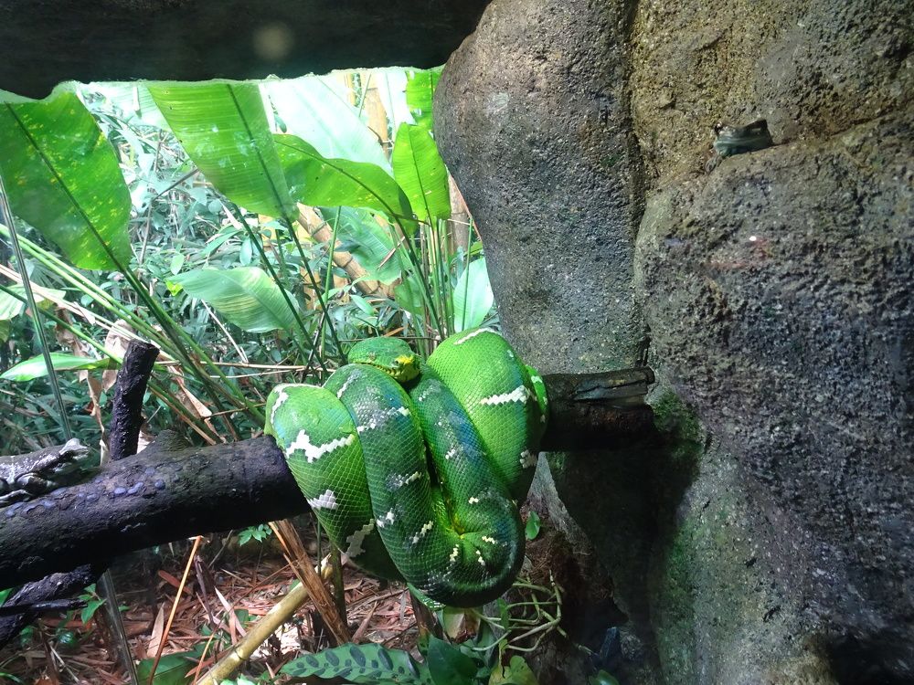 Photograph by Мила Милая