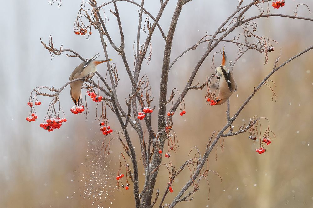 Фотография автора Юрий Макаров