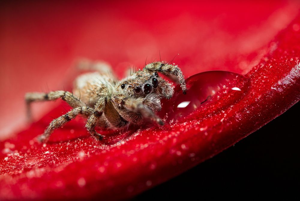 Photograph by Артём Малышев