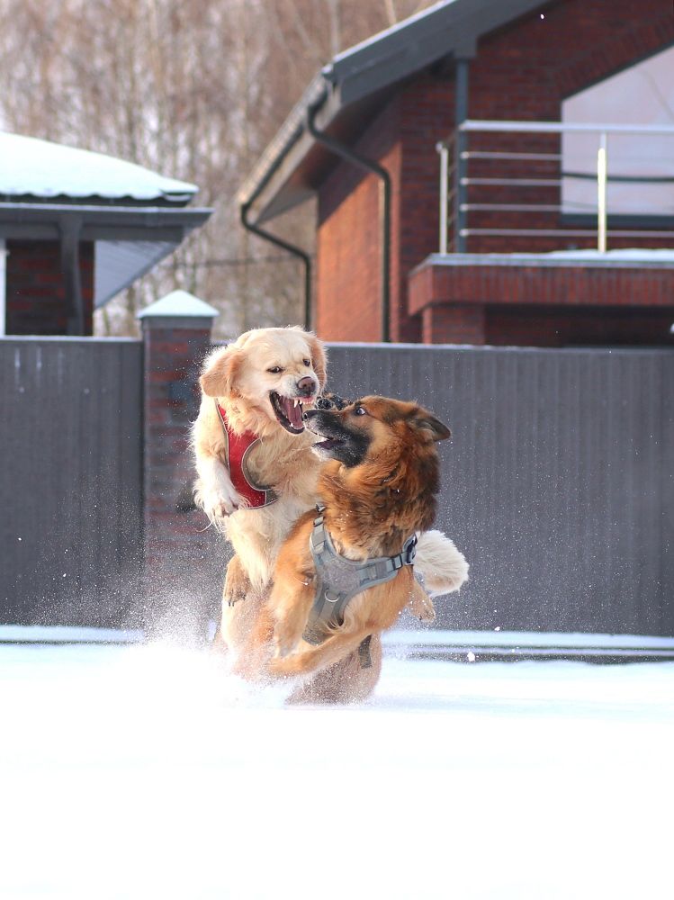 Photograph by Светлана Богомолова