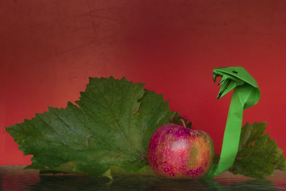 Фотография автора Paula Torrent