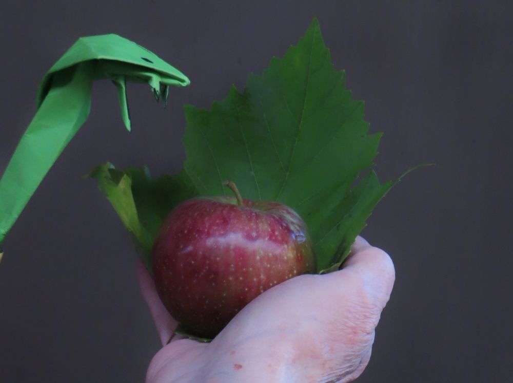 Фотография автора Paula Torrent