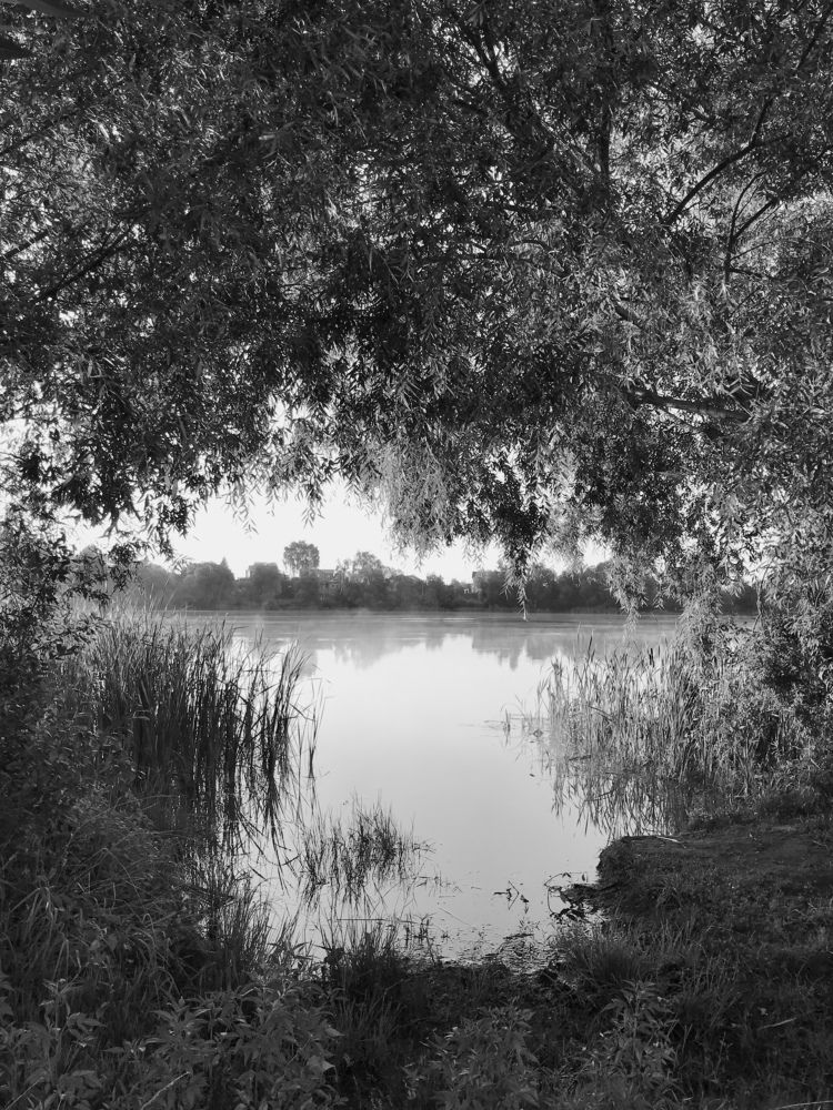 Photograph by Михаил Некрасов