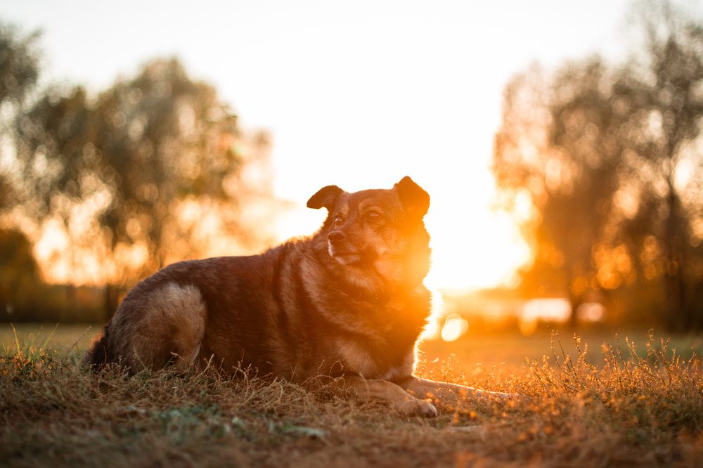 Photograph by Natasha Stugireva