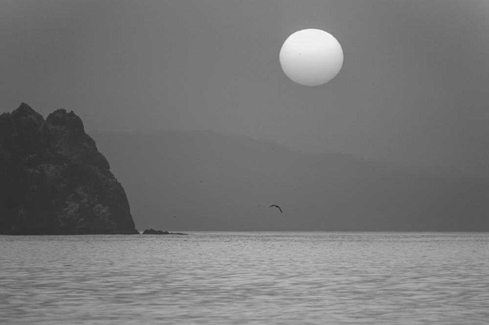 Photograph by Кузнецов Александр