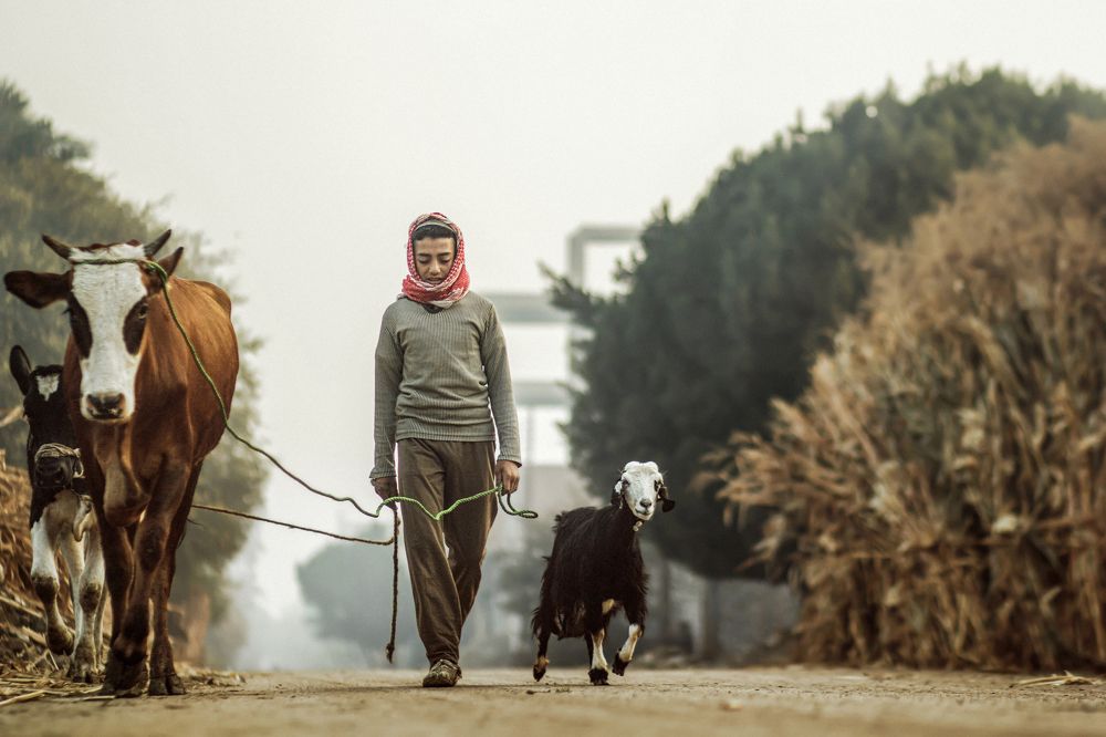 Photograph by Mahmoudaphotography