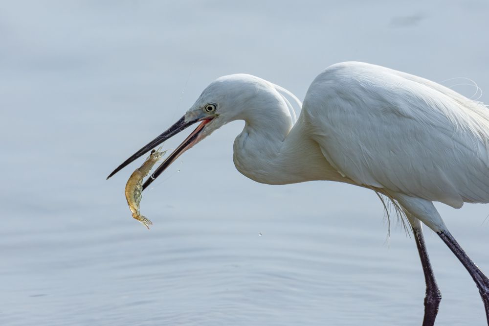 Photograph by Shehan Dondeenu