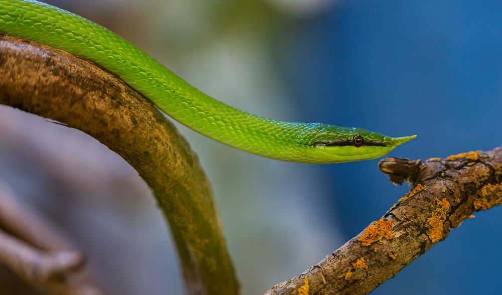 Photograph by yuri kutukov