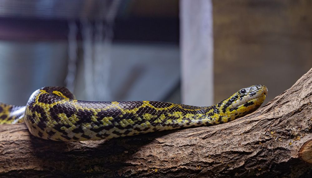 Photograph by yuri kutukov