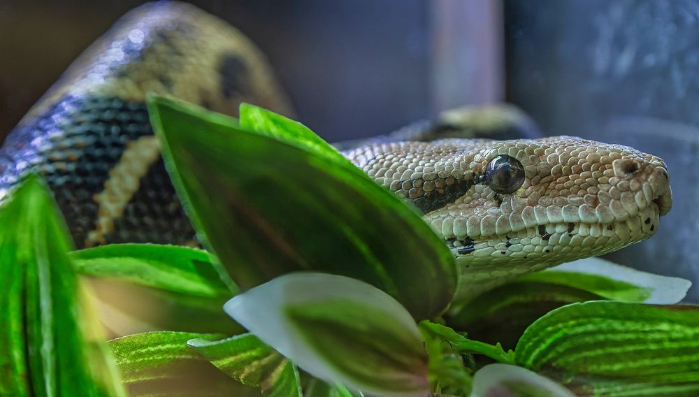 Photograph by yuri kutukov