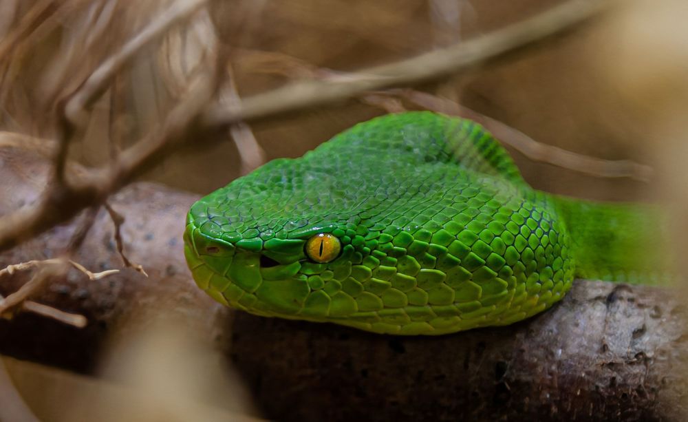 Photograph by yuri kutukov