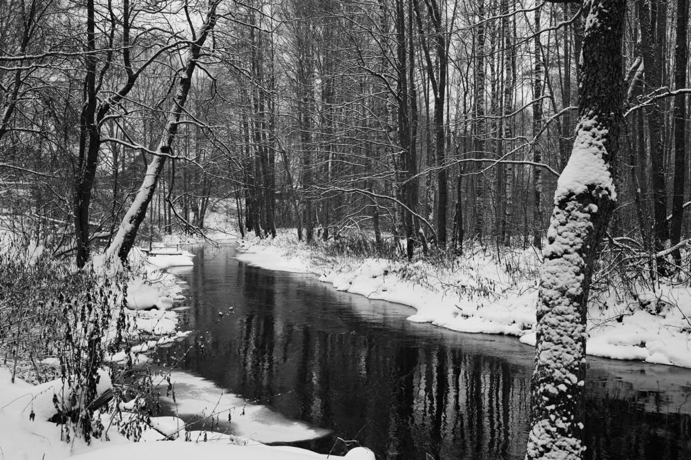 Photograph by Алексей Соймин