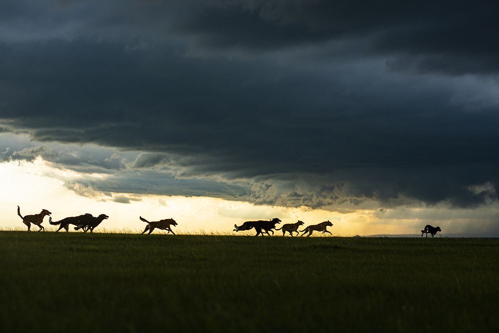 Photograph by Borjigon Bayasal