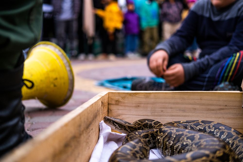 Photograph by mohammad mehdi pourorouj