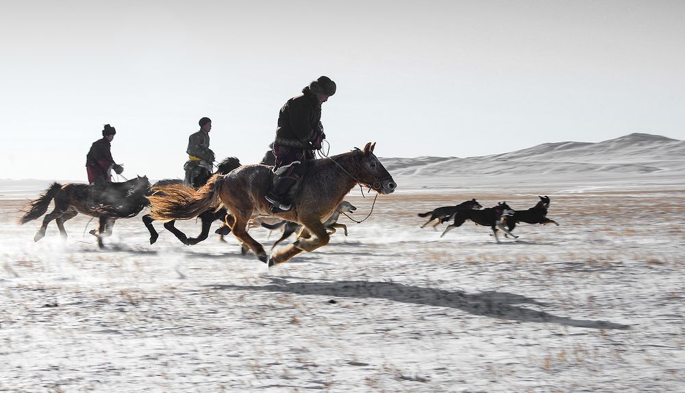 Photograph by Borjigon Bayasal