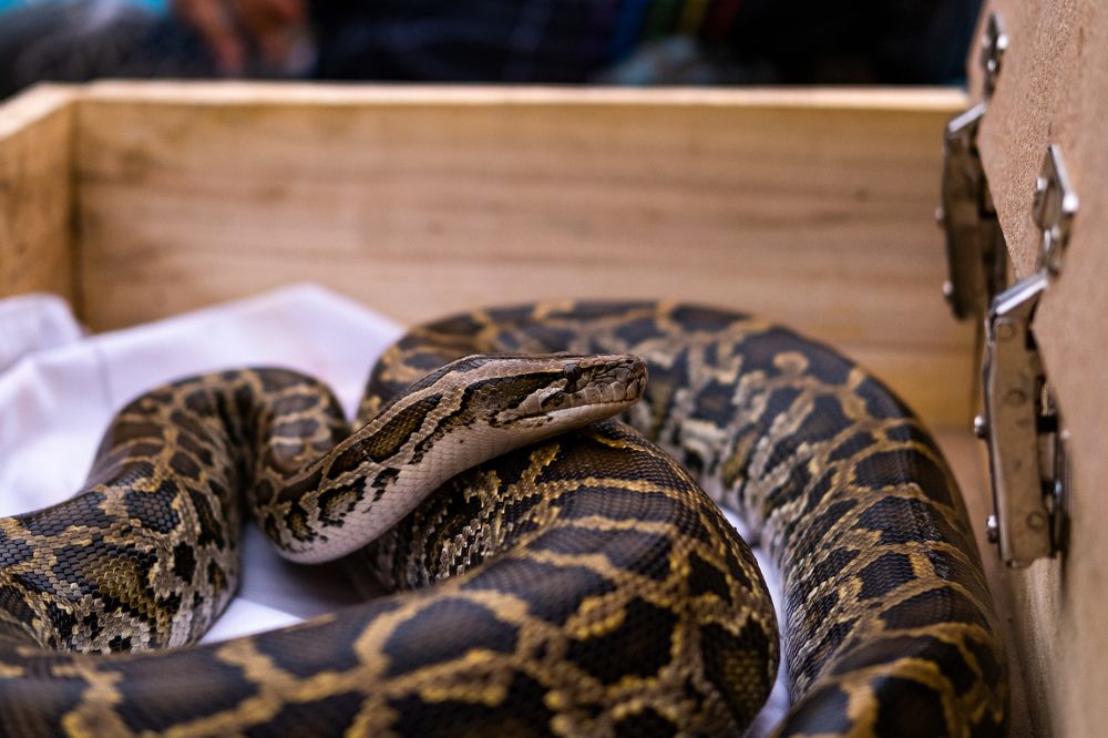 Photograph by mohammad mehdi pourorouj