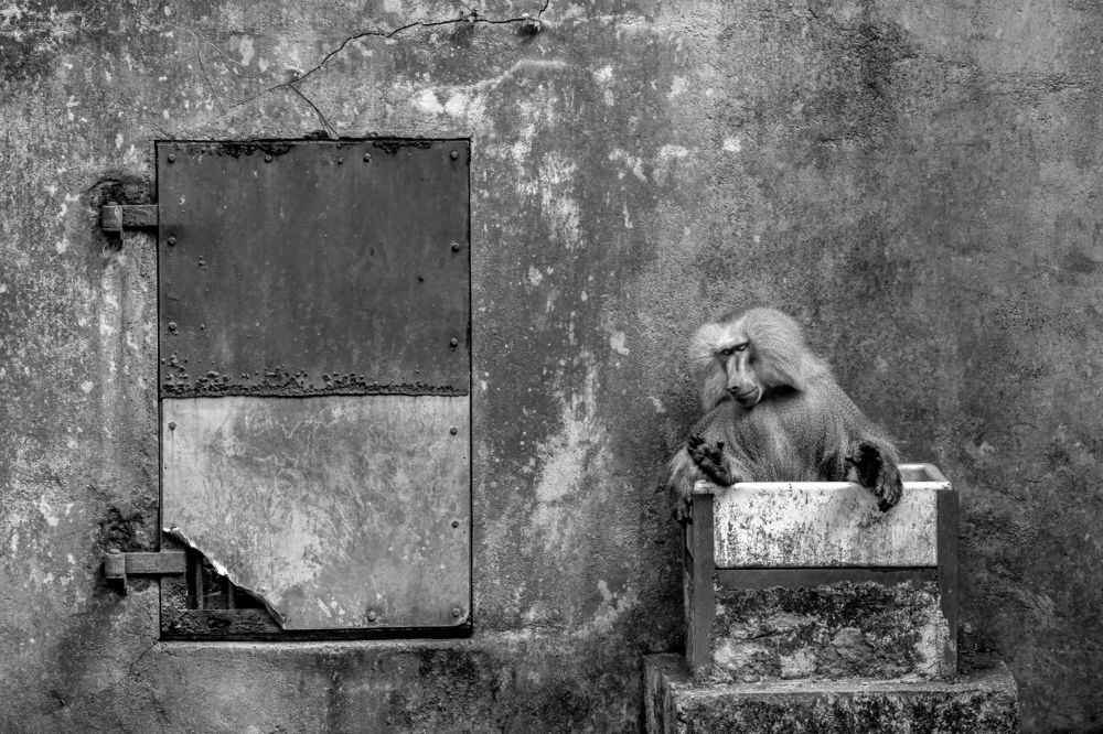 Photograph by Shehan Dondeenu