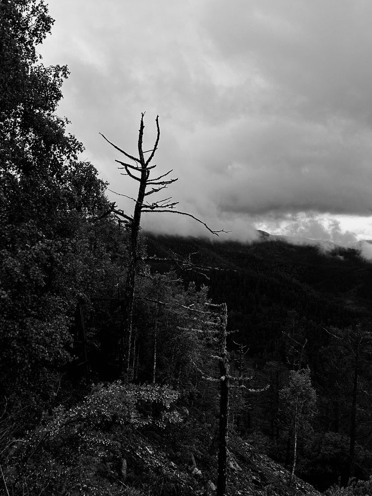 Фотография автора Наталья