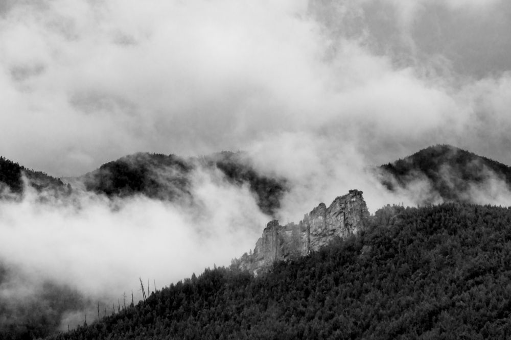 Photograph by Елена Ласун