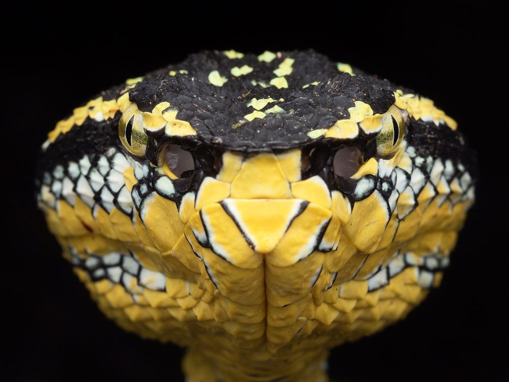 Photograph by TAN LING ZI