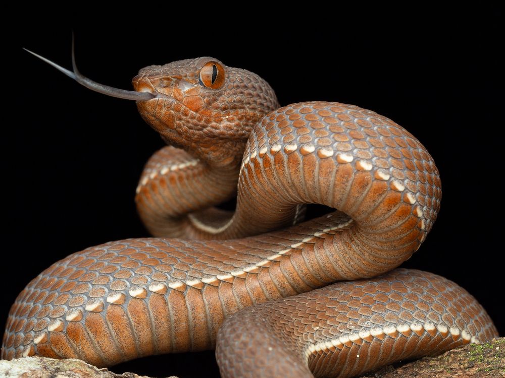 Photograph by TAN LING ZI