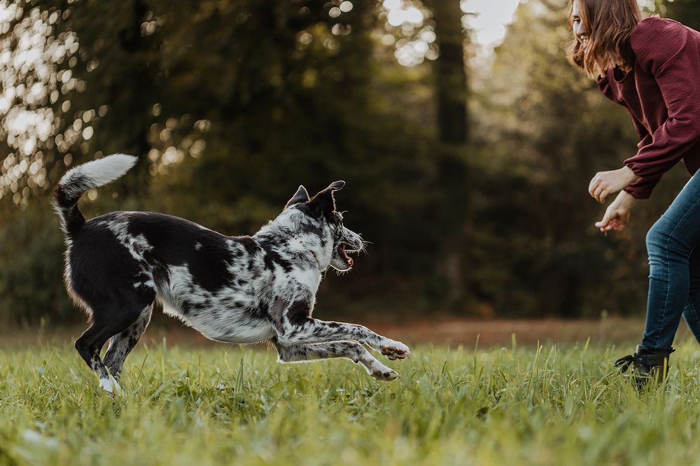 Photograph by Lea Styger