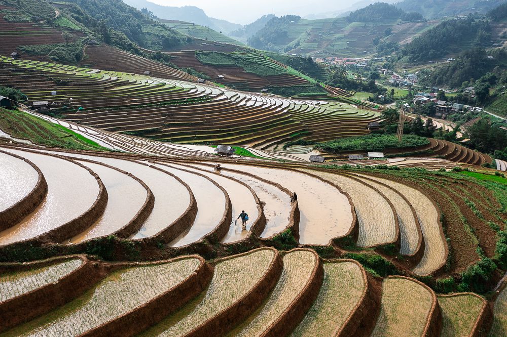 Photograph by Марина Маликова