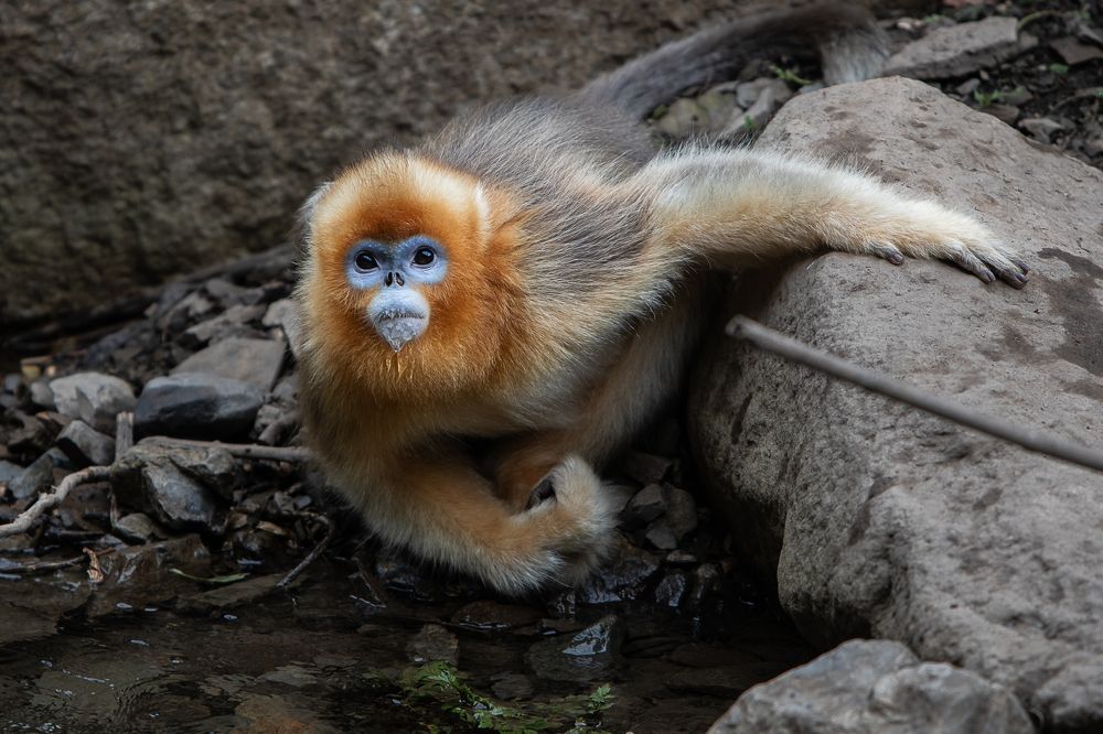 Photograph by Марина Маликова