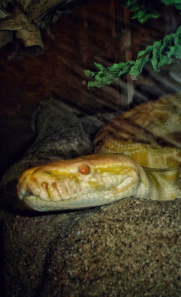 Фотография автора НАТАЛЬЯ СЕВЕР