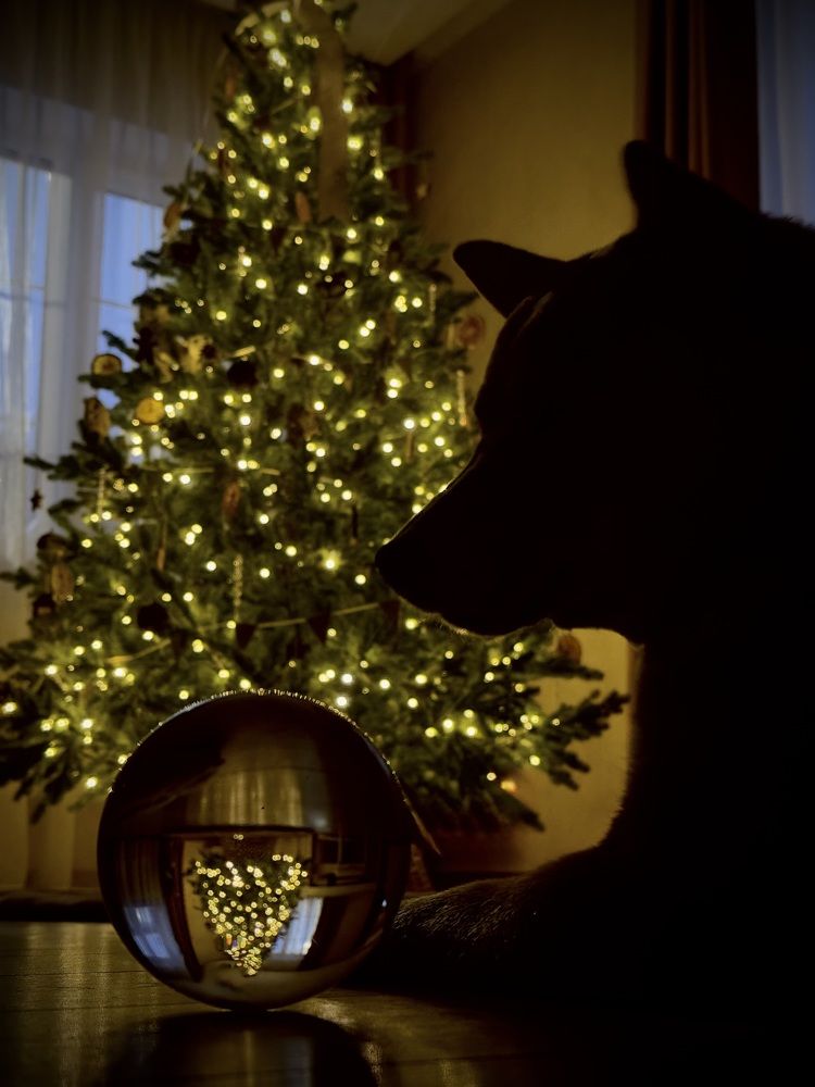 Photograph by Ксения Юртаева