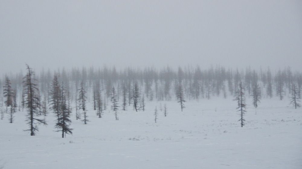 Фотография автора Мария Черница