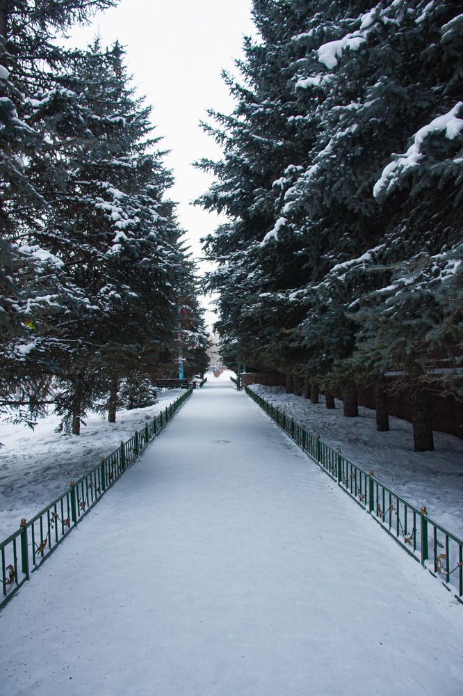 Photograph by Анастасия Перминова