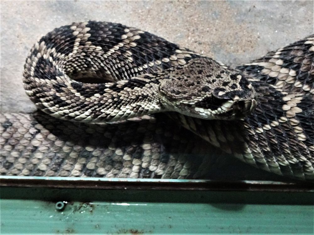 Photograph by Мила Милая