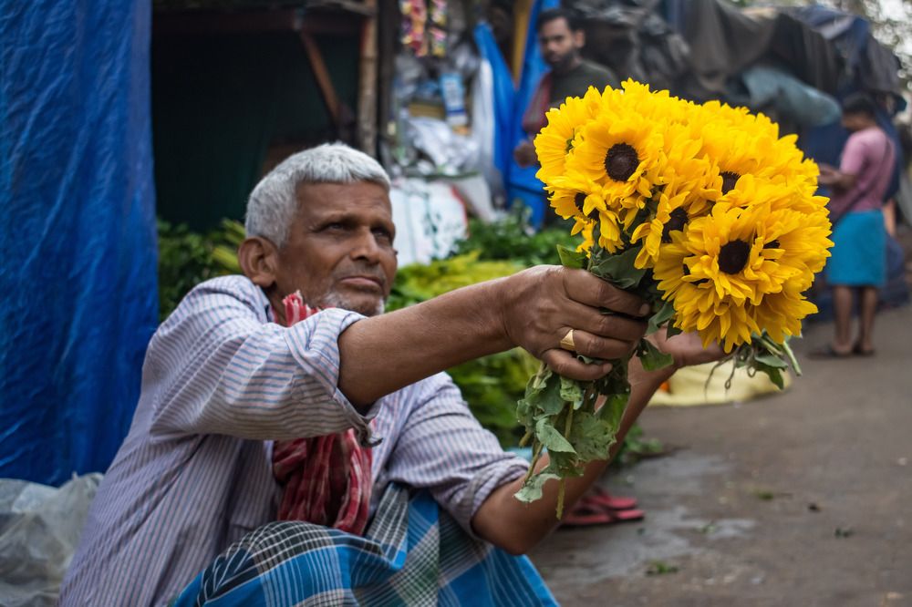 Фотография автора Dipayan Debbarma