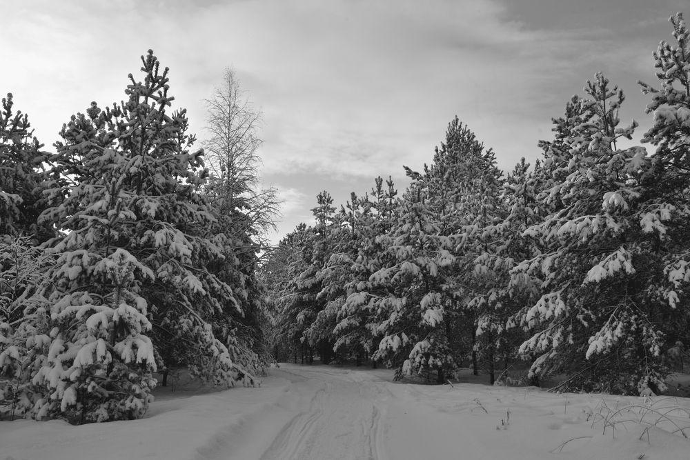 Photograph by Семен Батов