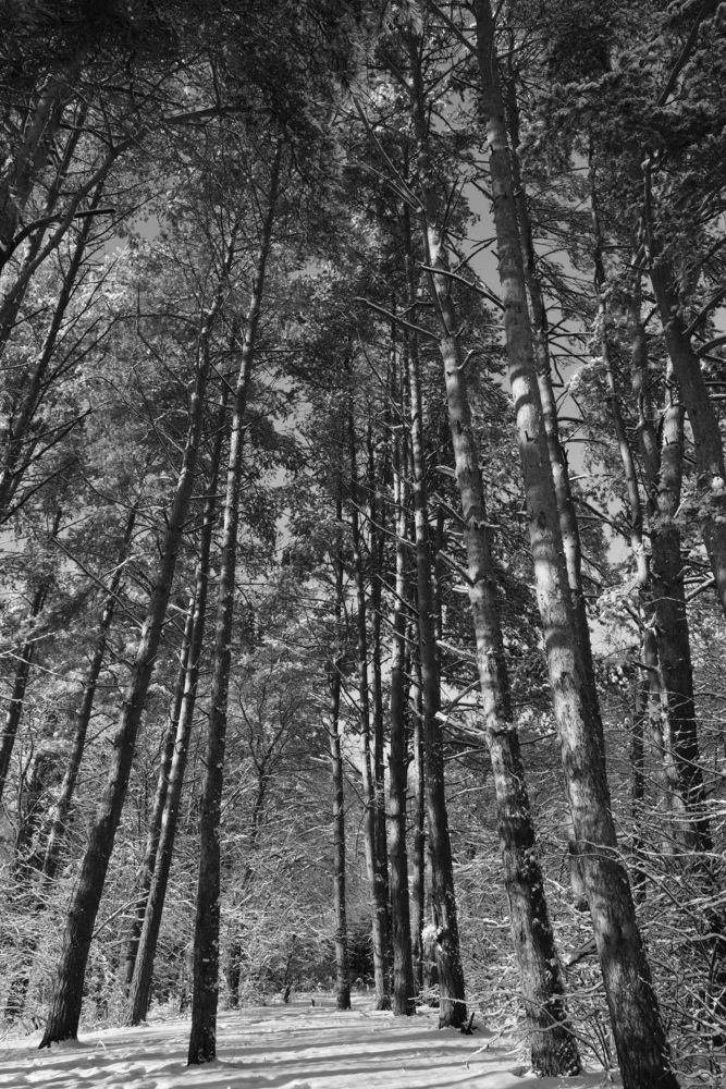 Photograph by Семен Батов