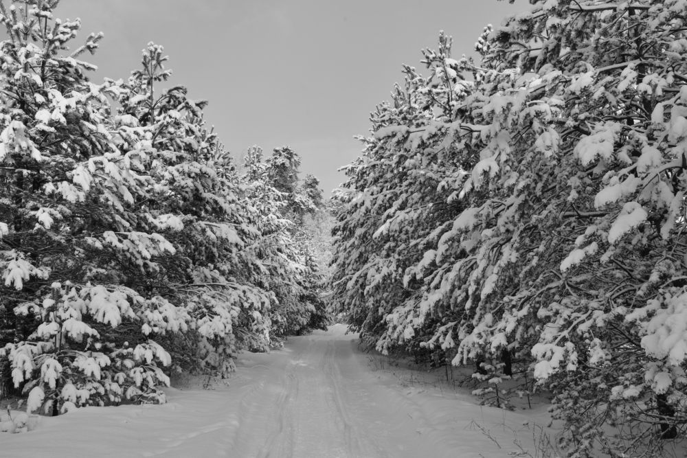 Photograph by Семен Батов