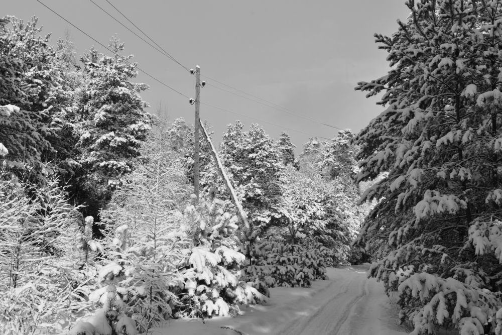 Photograph by Семен Батов