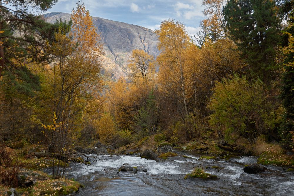 Фотография автора Антон Бразевич