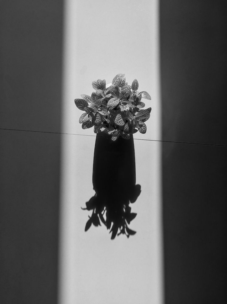 Photograph by Adrij Bhowmick